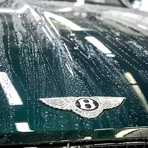 bentley-continental-gracioznoe-kupe-klassa-lyuks-dlya-istinnyh-aristokratov-12